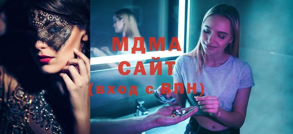 хмурый Арсеньев