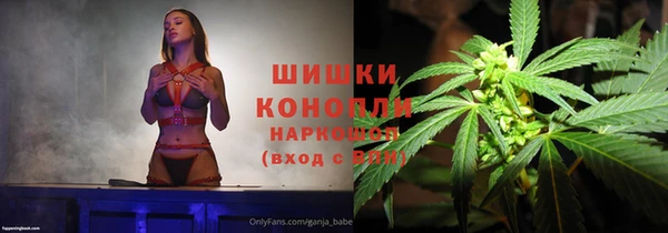 хмурый Арсеньев