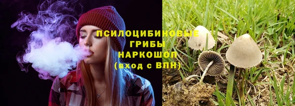 хмурый Арсеньев