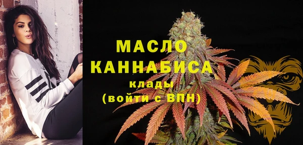 хмурый Арсеньев