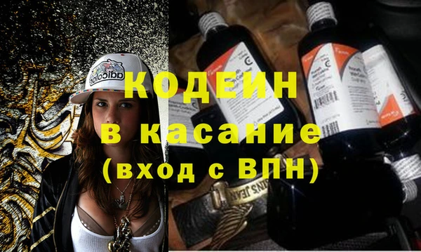 хмурый Арсеньев