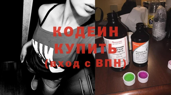 хмурый Арсеньев