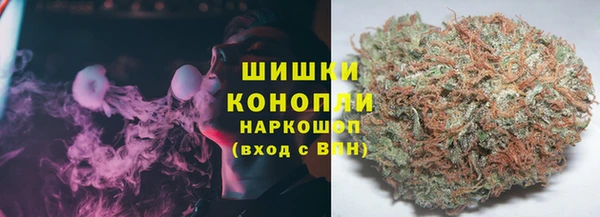 хмурый Арсеньев